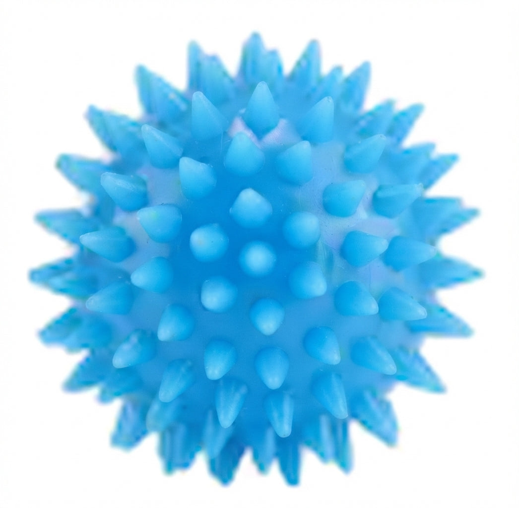 Pelota Terapéutica